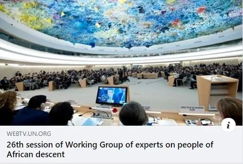 BBHAGSIA President Addresses the Working Group of Experts on People of African Descent at the United Nations