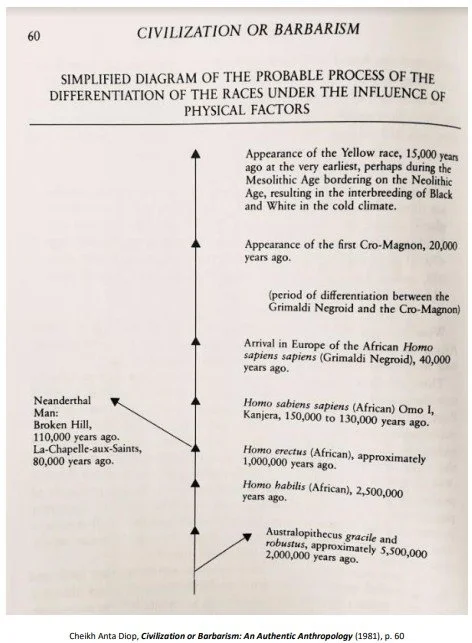 Differentiation of the Races.jpg