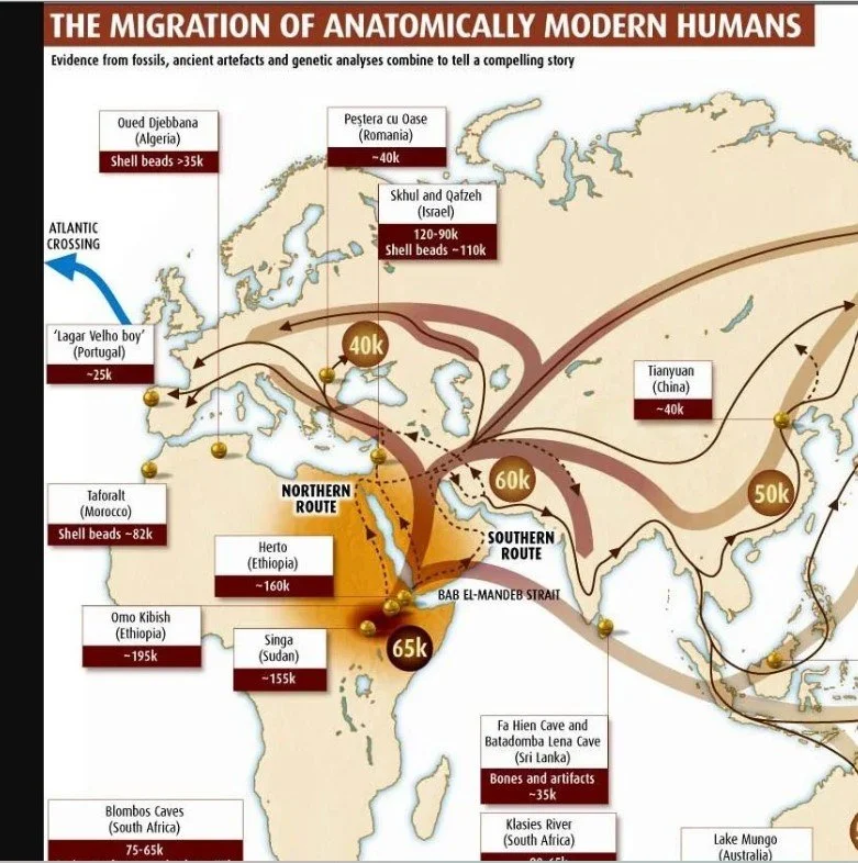 Migration of Humans.jpg