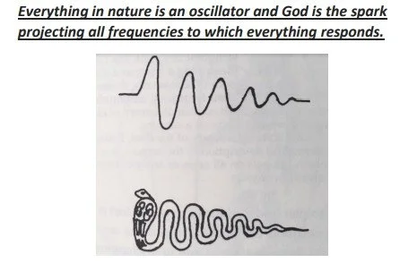 Anu electonics 5.jpg