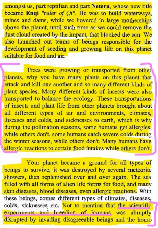 Malachi Z York Black Book Neteru 9d.jpg