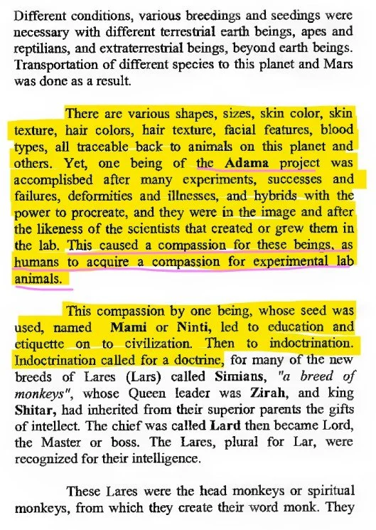 Malachi Z York Black Book Neteru 9f.jpg