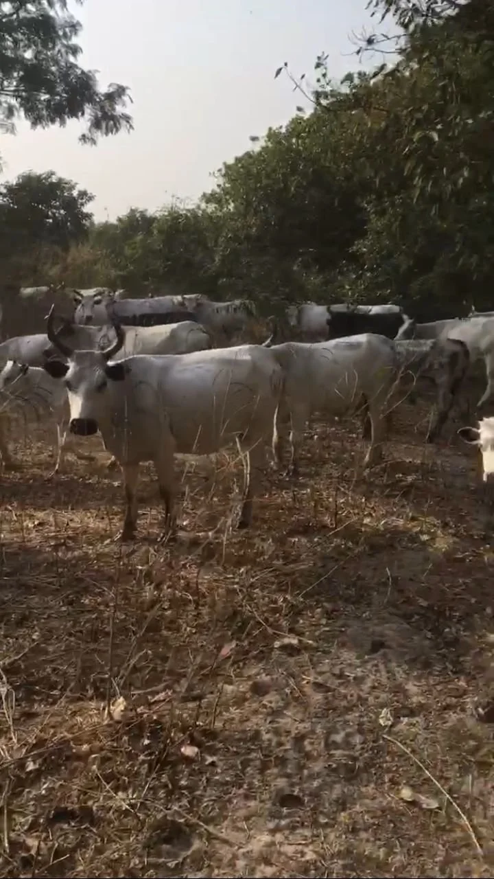 WhatsApp Image 2026-04-10 at 6.44.43 PM (1).jpeg