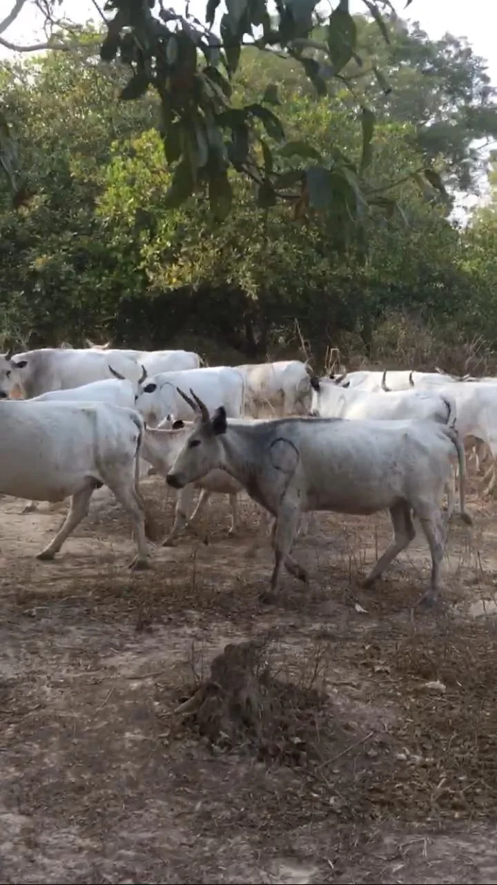 WhatsApp Image 2026-04-10 at 6.44.45 PM.jpeg