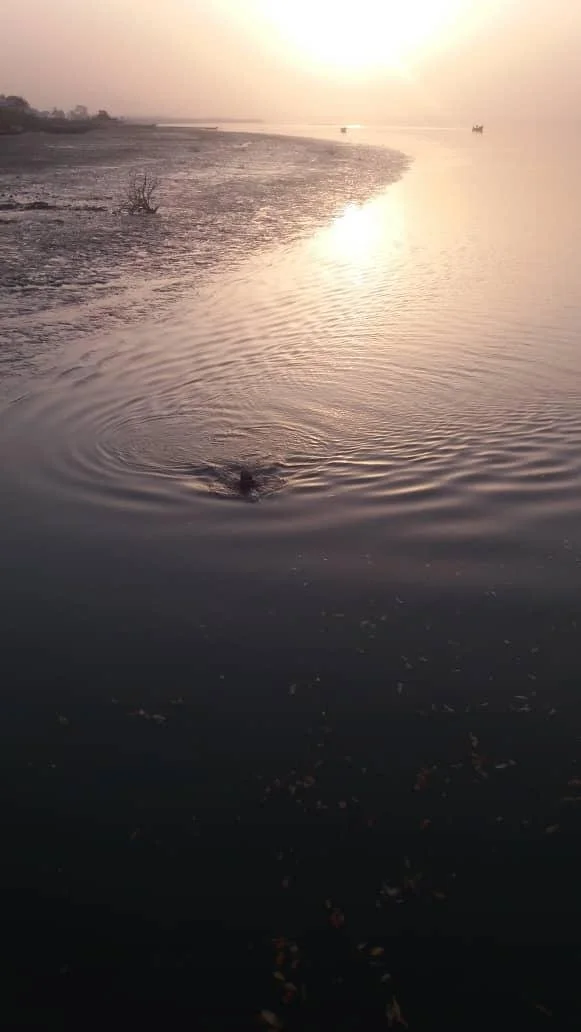 WhatsApp Image 2026-04-10 at 6.11.10 PM (3).jpeg