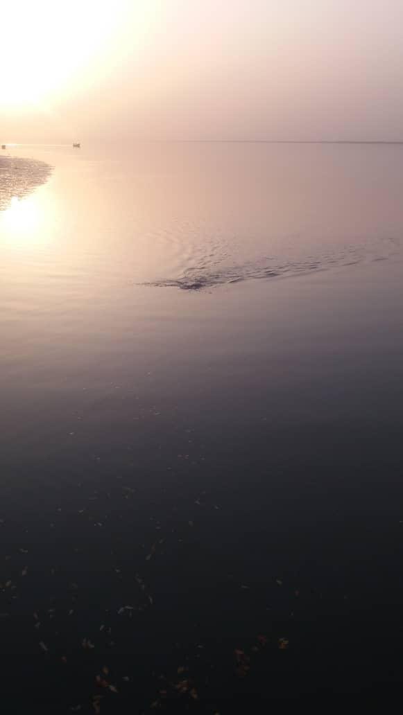 WhatsApp Image 2026-04-10 at 6.11.10 PM (2).jpeg