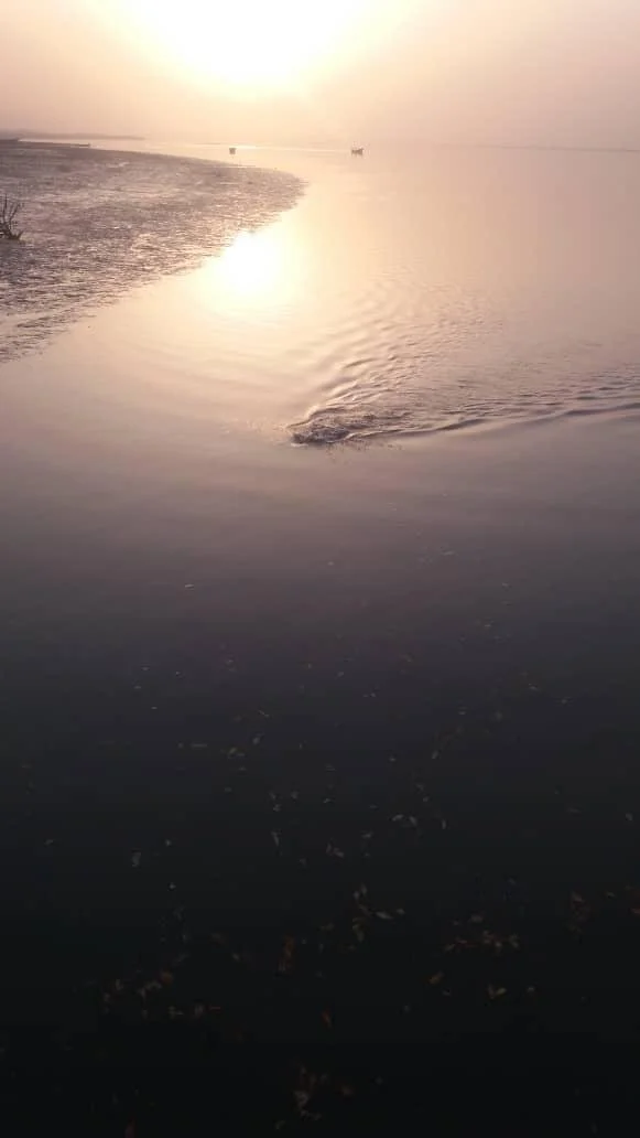 WhatsApp Image 2026-04-10 at 6.11.10 PM (1).jpeg