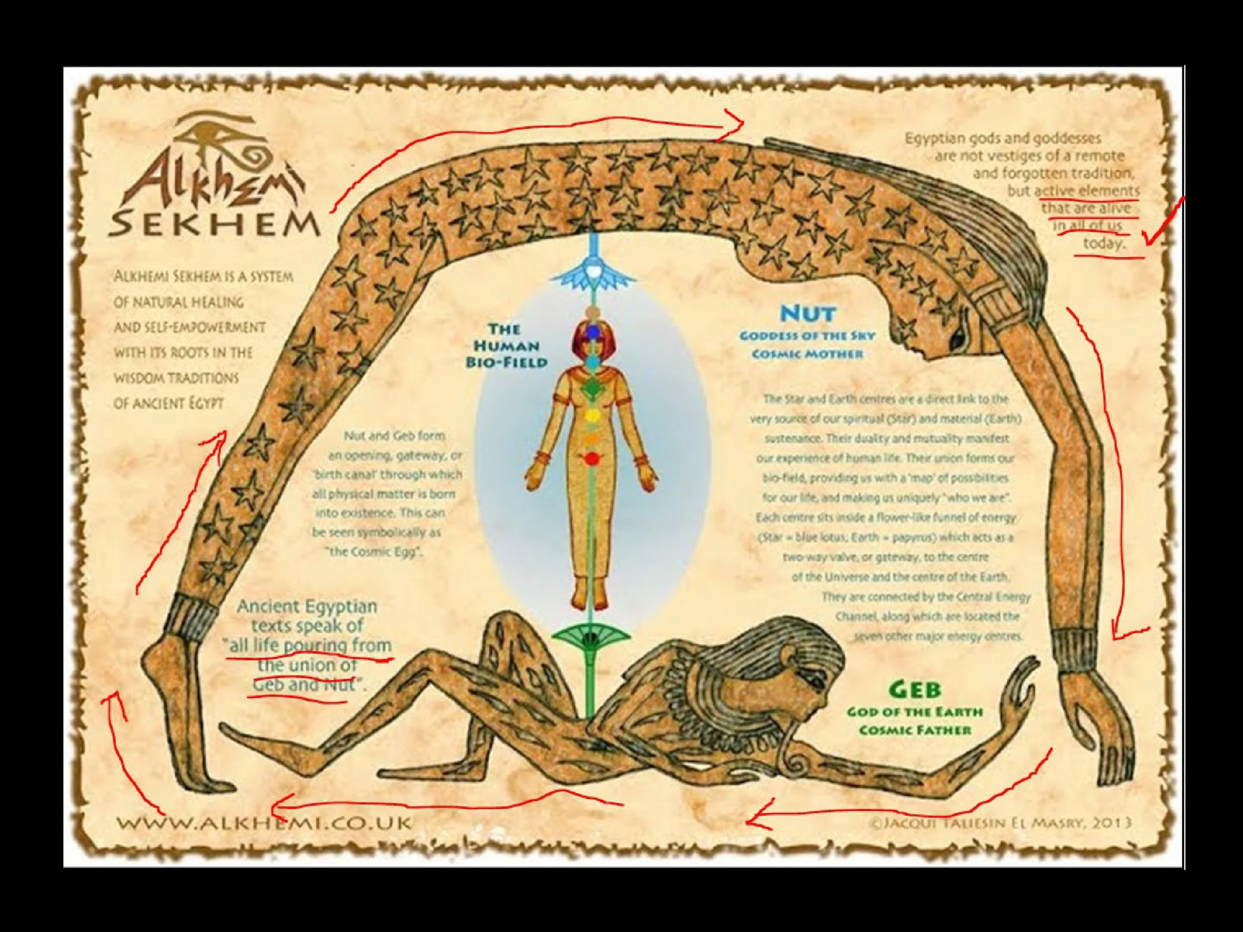 MAAT Tao of Optimal Health and Longevity-images-6.jpg