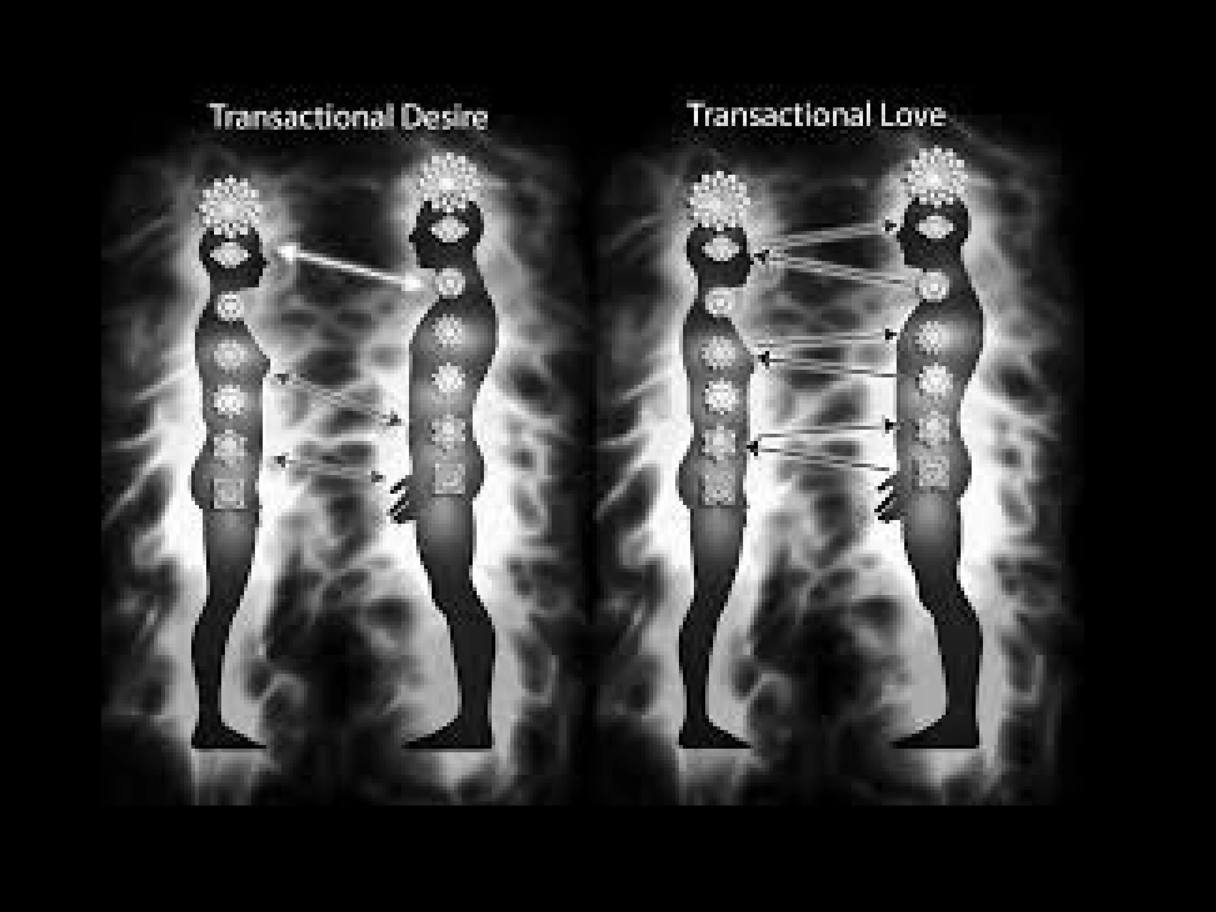 MAAT Tao of Optimal Health and Longevity-images-33.jpg