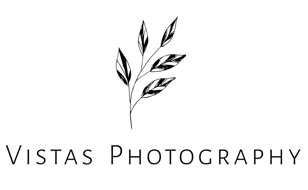 Vistas Photography specialising in photography of gardens and landscape architecture.