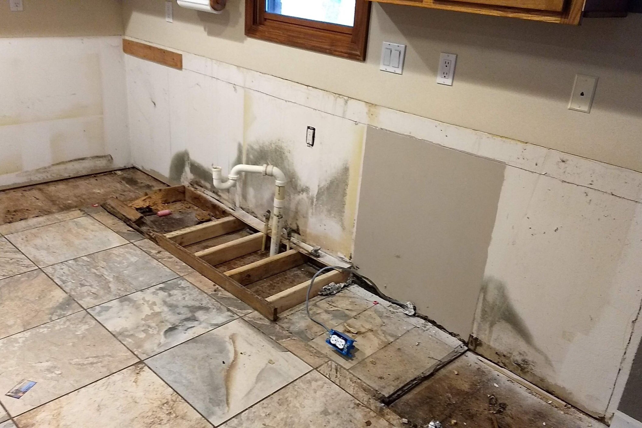 High Point Mold Removal