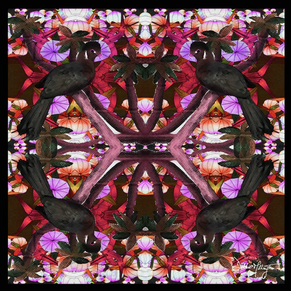 Turaco+parrot+and+cherry+blossoms+.jpg,