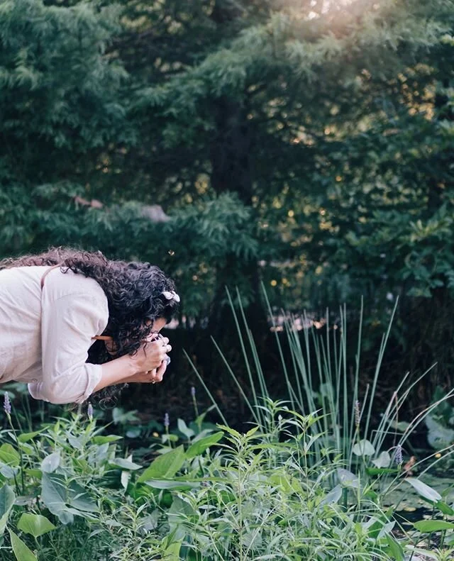 My favorite ways to not spread infectious disease: ⁠
⁠
• Spend more time alone, at home, and out in nature (where the air is fresh and social distance is the norm).⁠
⁠
• Drink lots of water and herbal tea instead of snacking on starchy, sugar foods when I'm bored.⁠
⁠
• Get creative in the kitchen with healthy foods like soups, broths, baked veggies, and spices. ⁠
⁠
• Increase my physical activity through bike riding, walking, at-home yoga, and YouTube exercises videos. ⁠
⁠
• Decrease stress by taking long baths with honey and canned coconut milk, reading a good novel instead of watching the news in the evening, and chatting with long-distance friends and family on the phone. ⁠
⁠
Get creative in the ways you keep yourself and your community safe. ⁠
⁠
I have recipes + mental health tips on blog, via the link in my bio. ⁠
⁠
📷 @ashlynkittrell