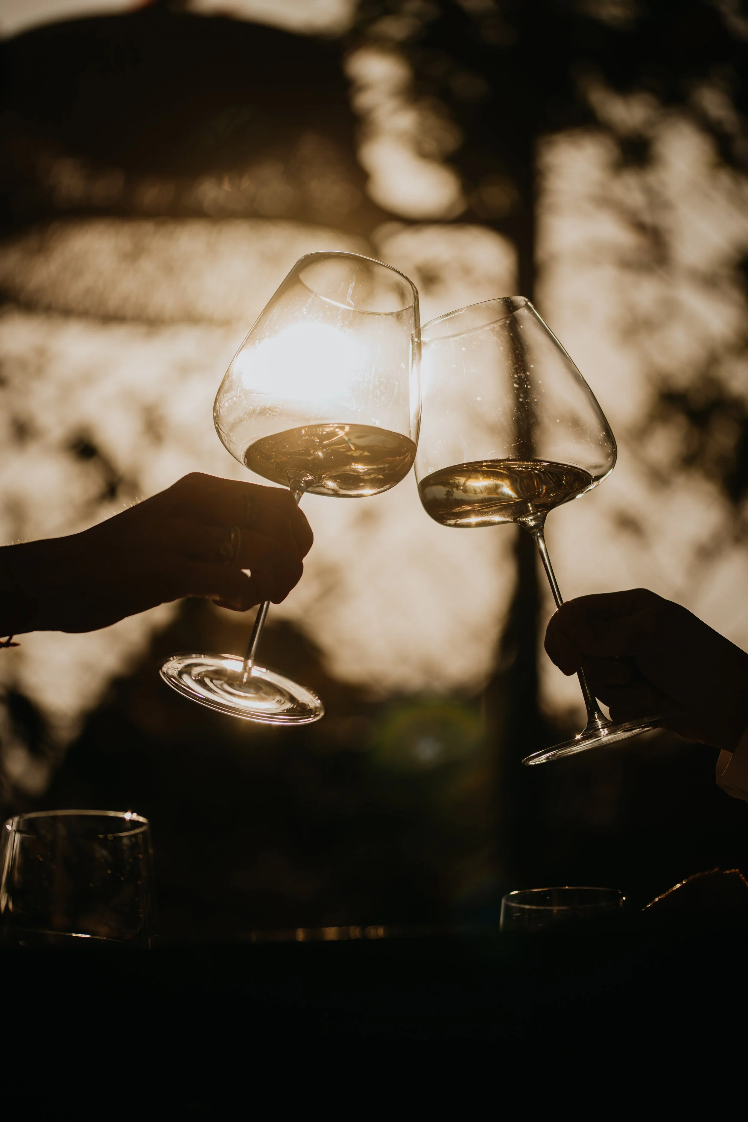 Sicily Wine Tasting Experience