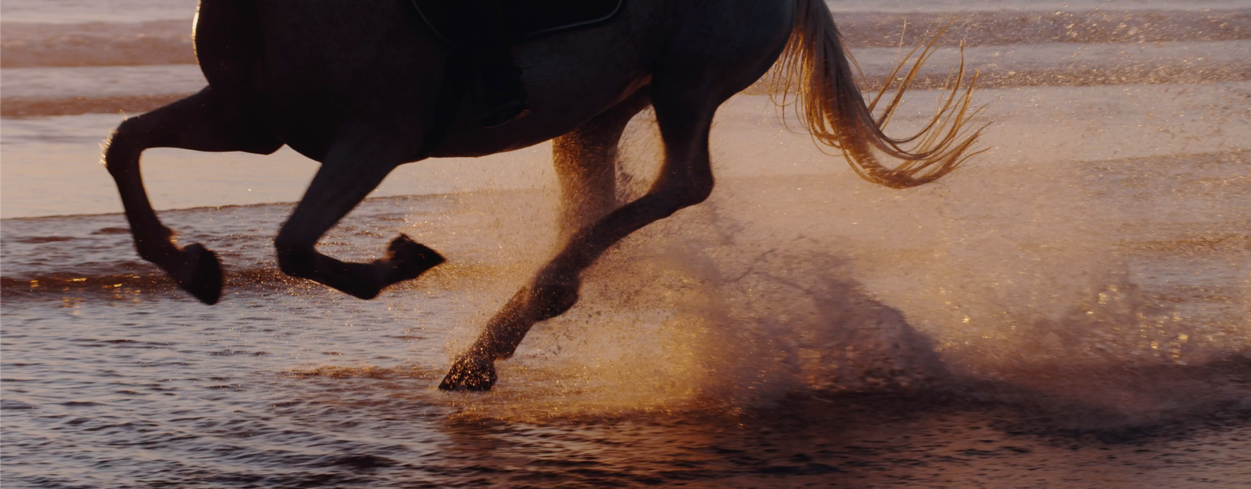 TAYLOR YANDELL_Film 1.png