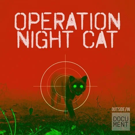 Operation Night Cat Show Graphic