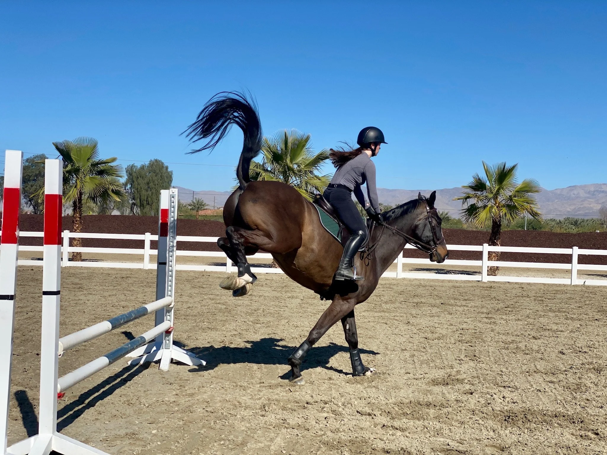 Ride balanced turns and confidently slice fences.  