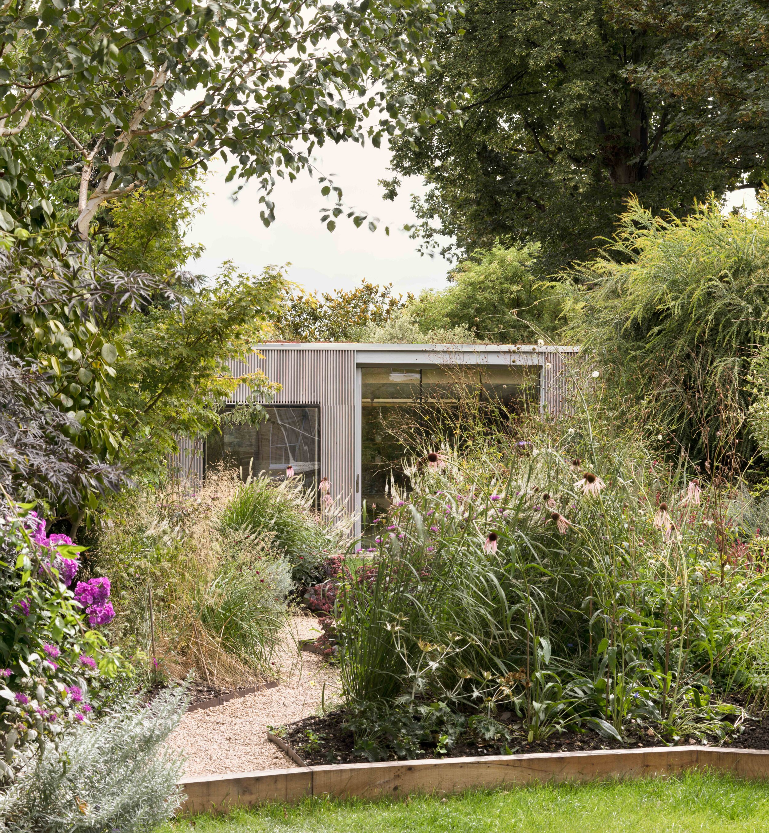 Image of home in London surrounded by garden foliage from London based Architects.