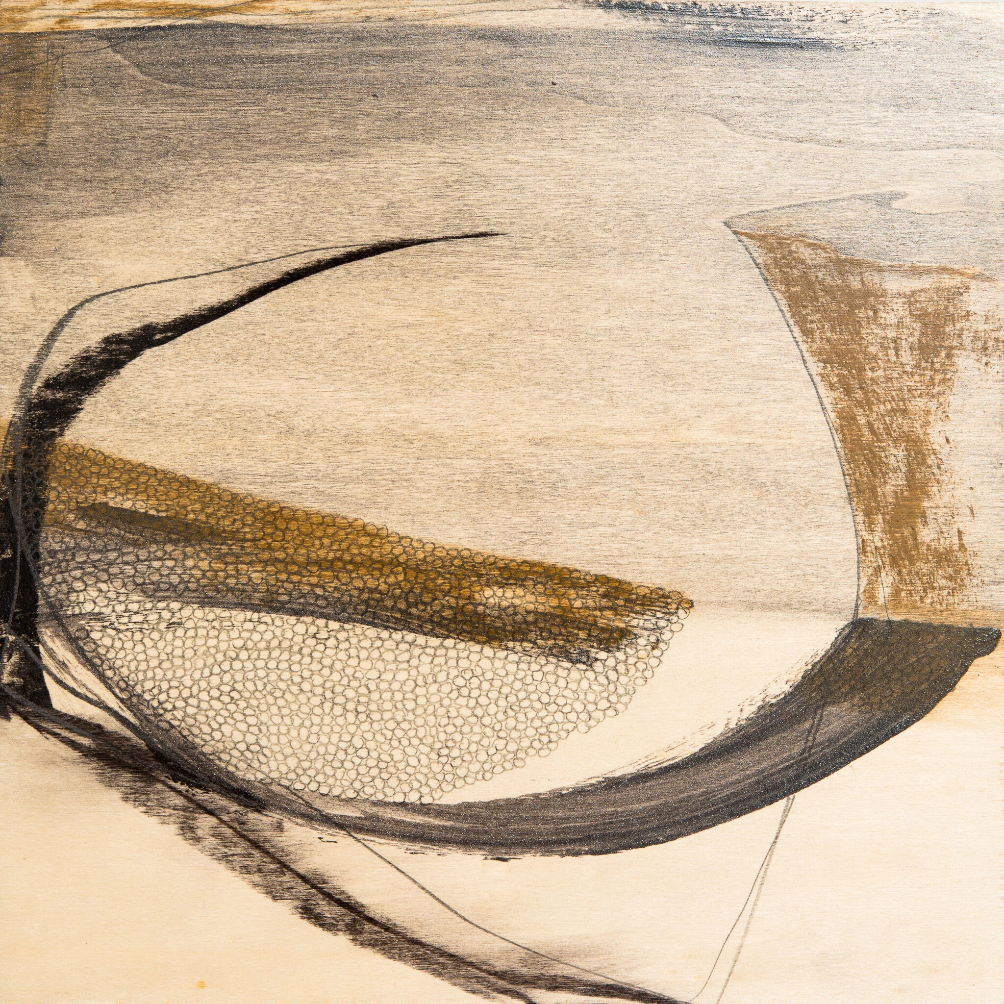 Daffodil Series 12