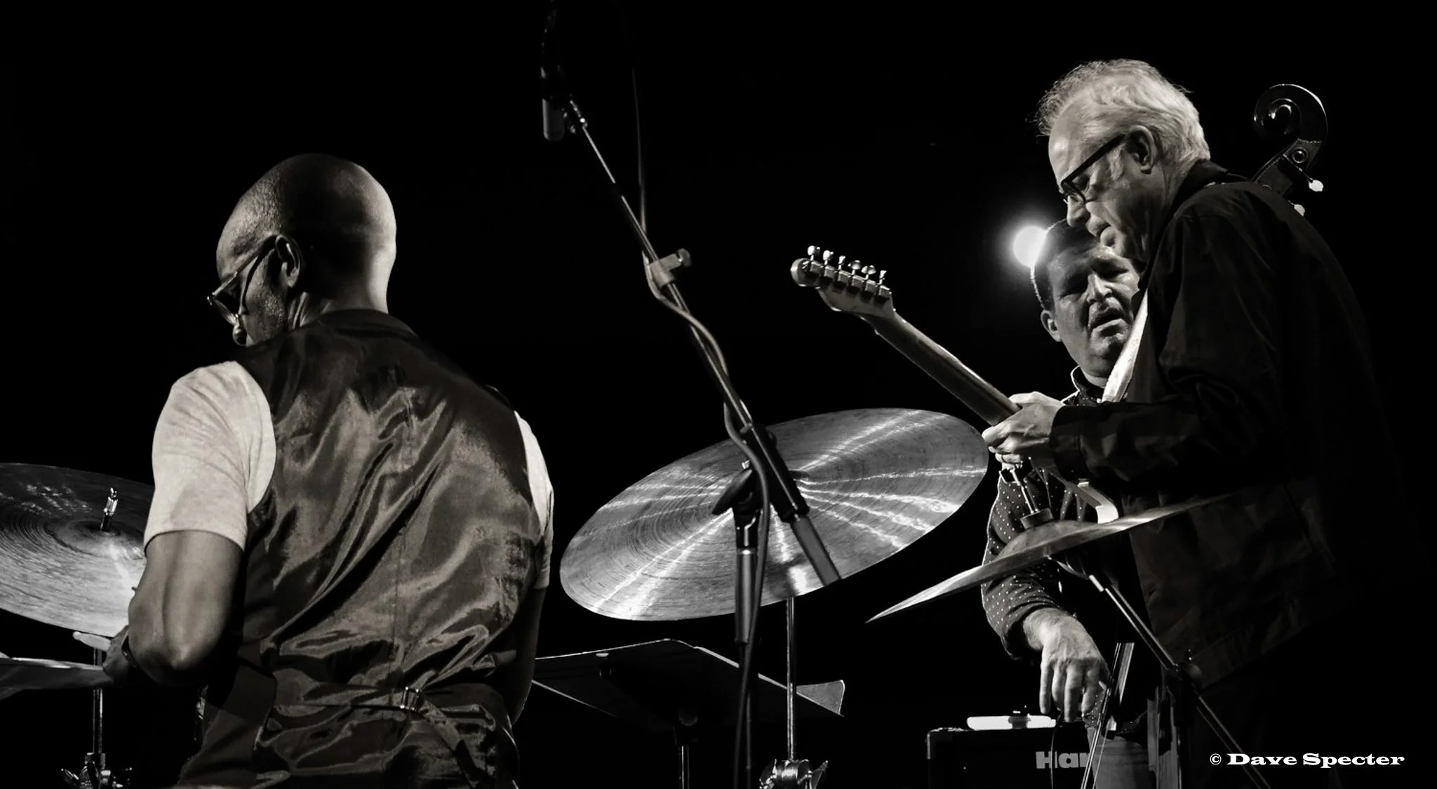 Bill Frisell Trio