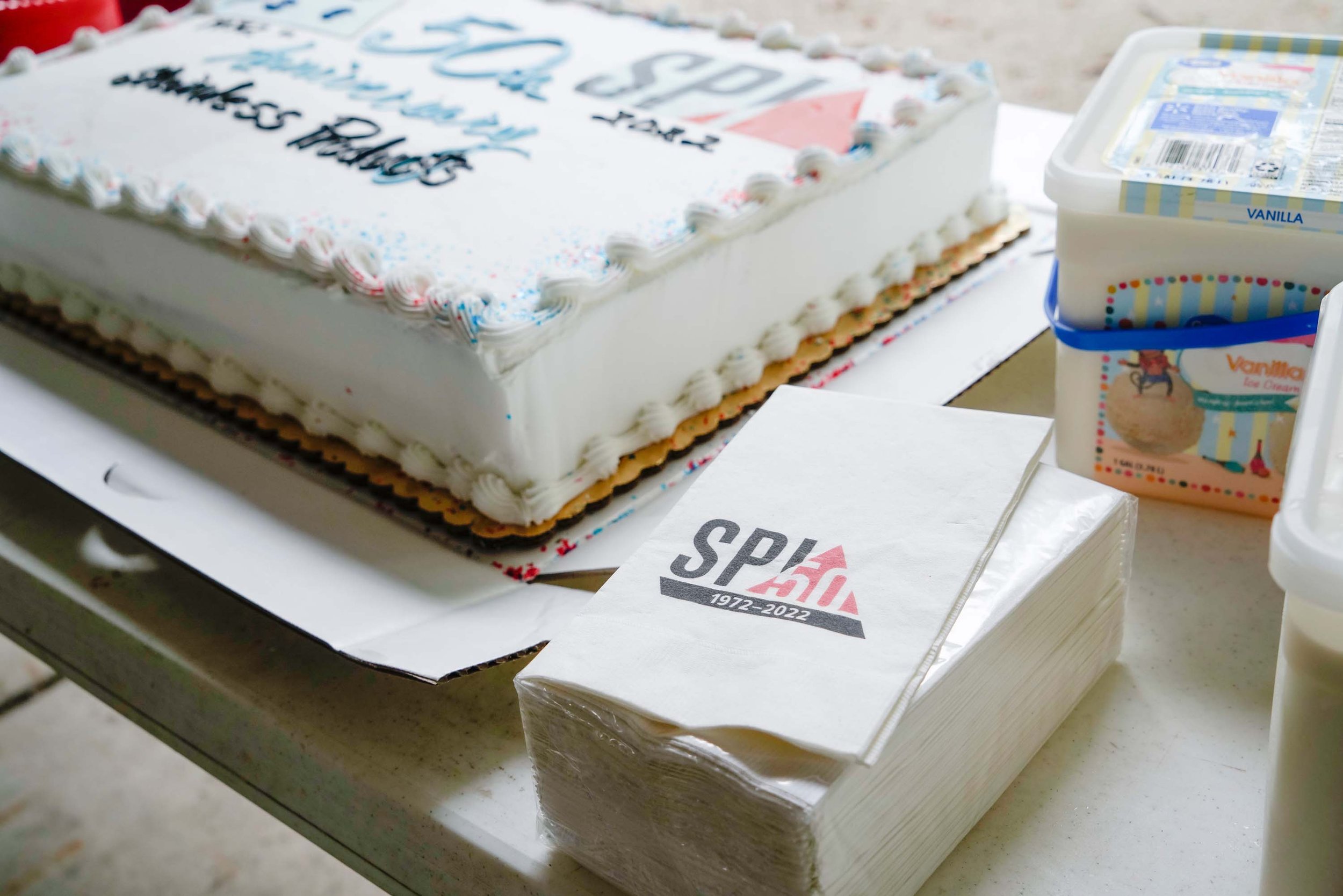 SPI-Picnic-cake 1.jpg