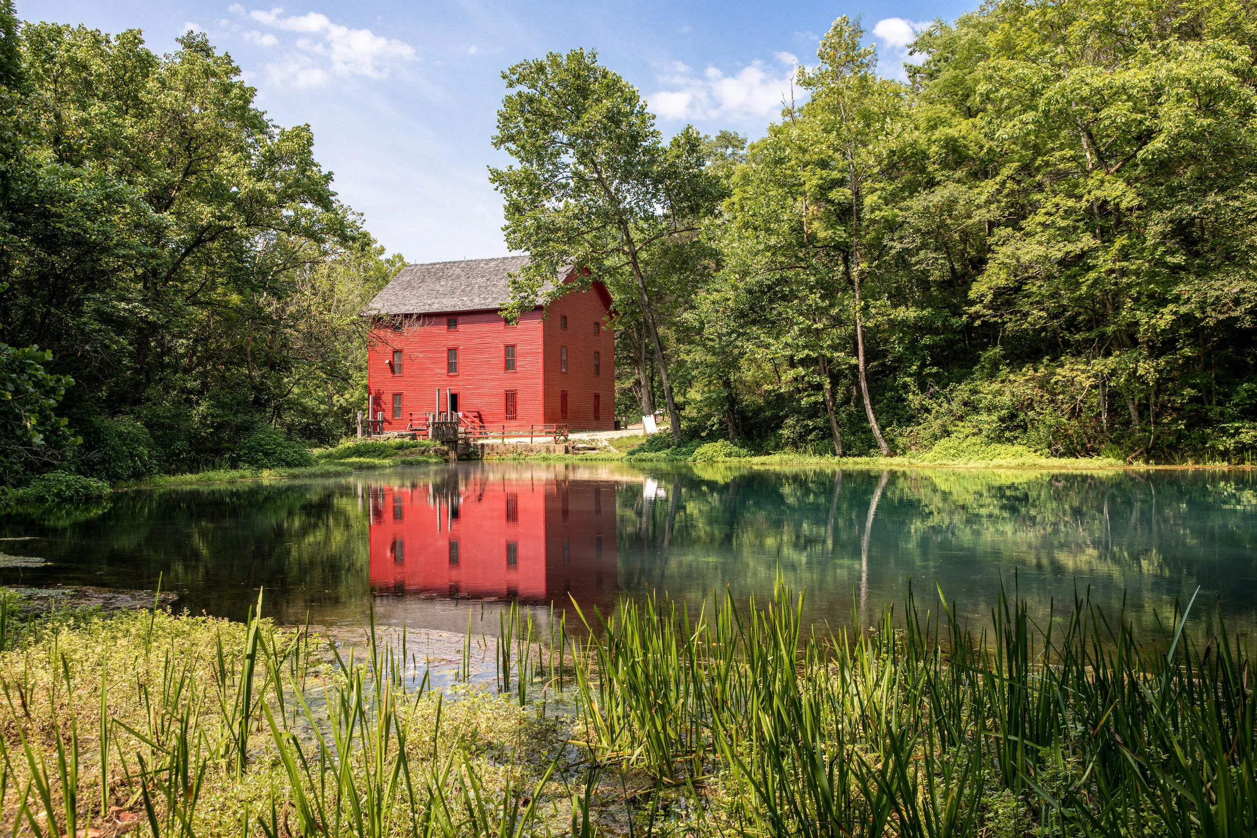 Alley HR recent-1.jpg