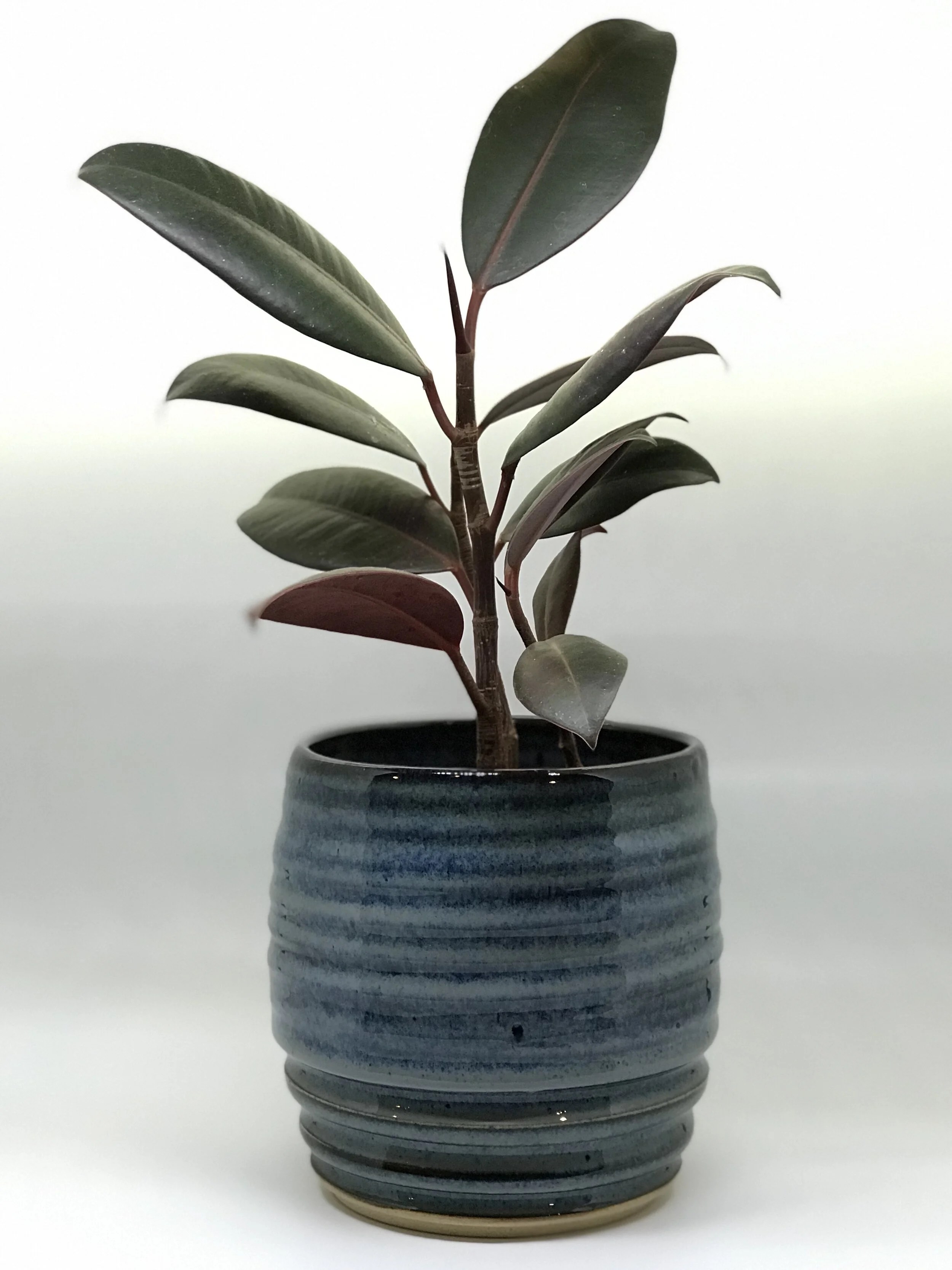 Strong winds build strong trees. 