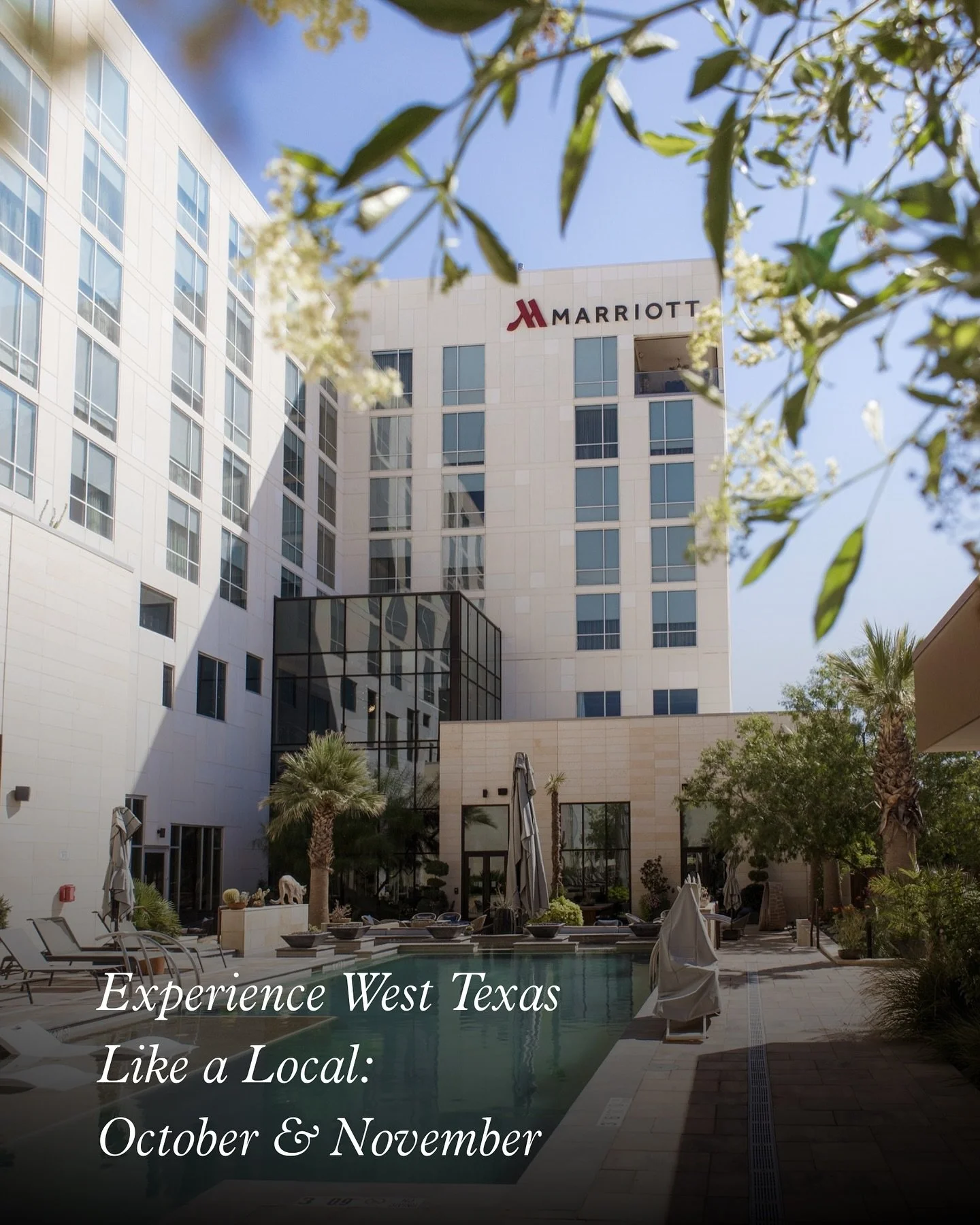 Experience genuine West Texas hospitality during your next visit to the Odessa Marriott. Enjoy all the festivities happening in downtown Odessa, whether you’re traveling or a local. Experience the local culture and community spirit, enriching y
