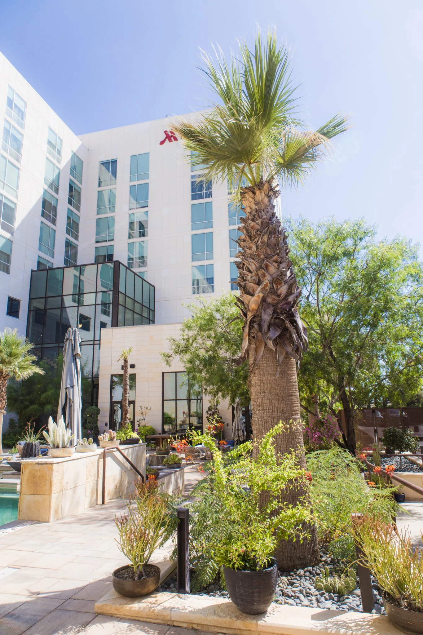 Make this spring break unforgettable with a luxurious staycation for you and your family at #OdessaMarriott.

Discover exceptional amenities&mdash;from our upscale outdoor pool to mouthwatering cuisine at Barrel &amp; Derrick and signature cocktails 