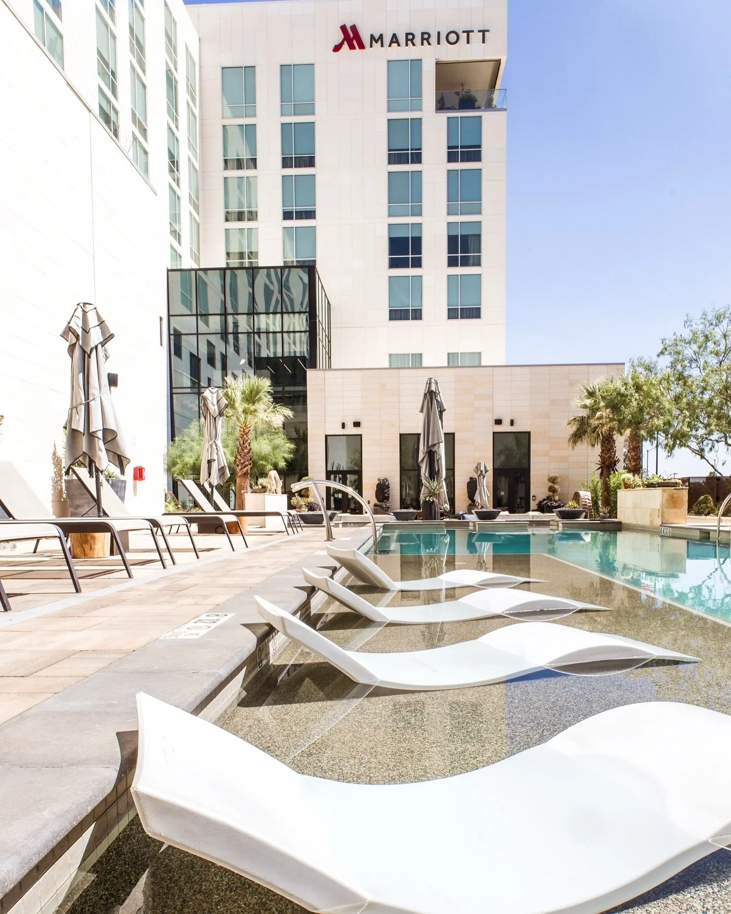 Cheers to the beginning of spring! 🍸🌸