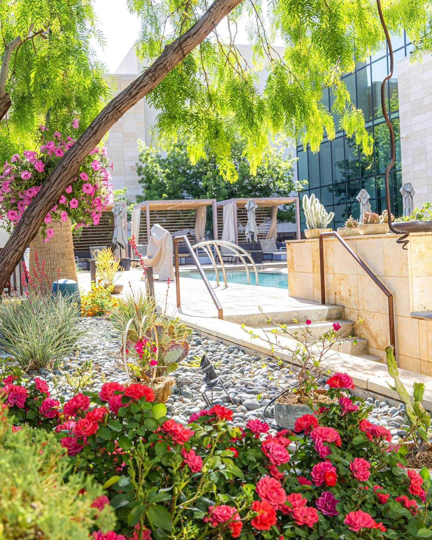Wishing you a beautiful Earth Day from the Odessa Marriott.

This Earth Day, we invite you to join us in celebrating the remarkable beauty of our natural surroundings. At the Odessa Marriott, we are dedicated to fostering environments that enrich you