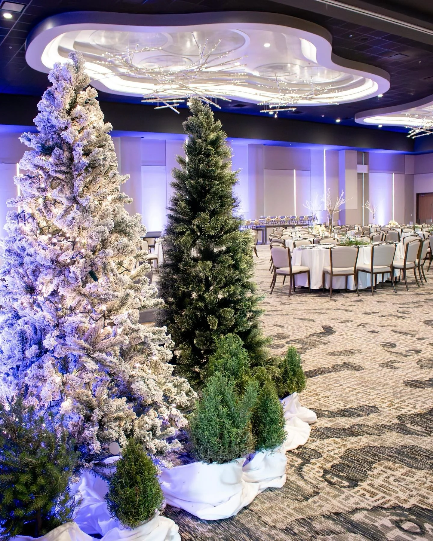Make this holiday season feel special with a gathering at the Odessa Marriott. Whether you're planning an intimate celebration or a larger corporate event, we know how much care it takes to make the occasion meaningful. We&rsquo;d be honored to provi