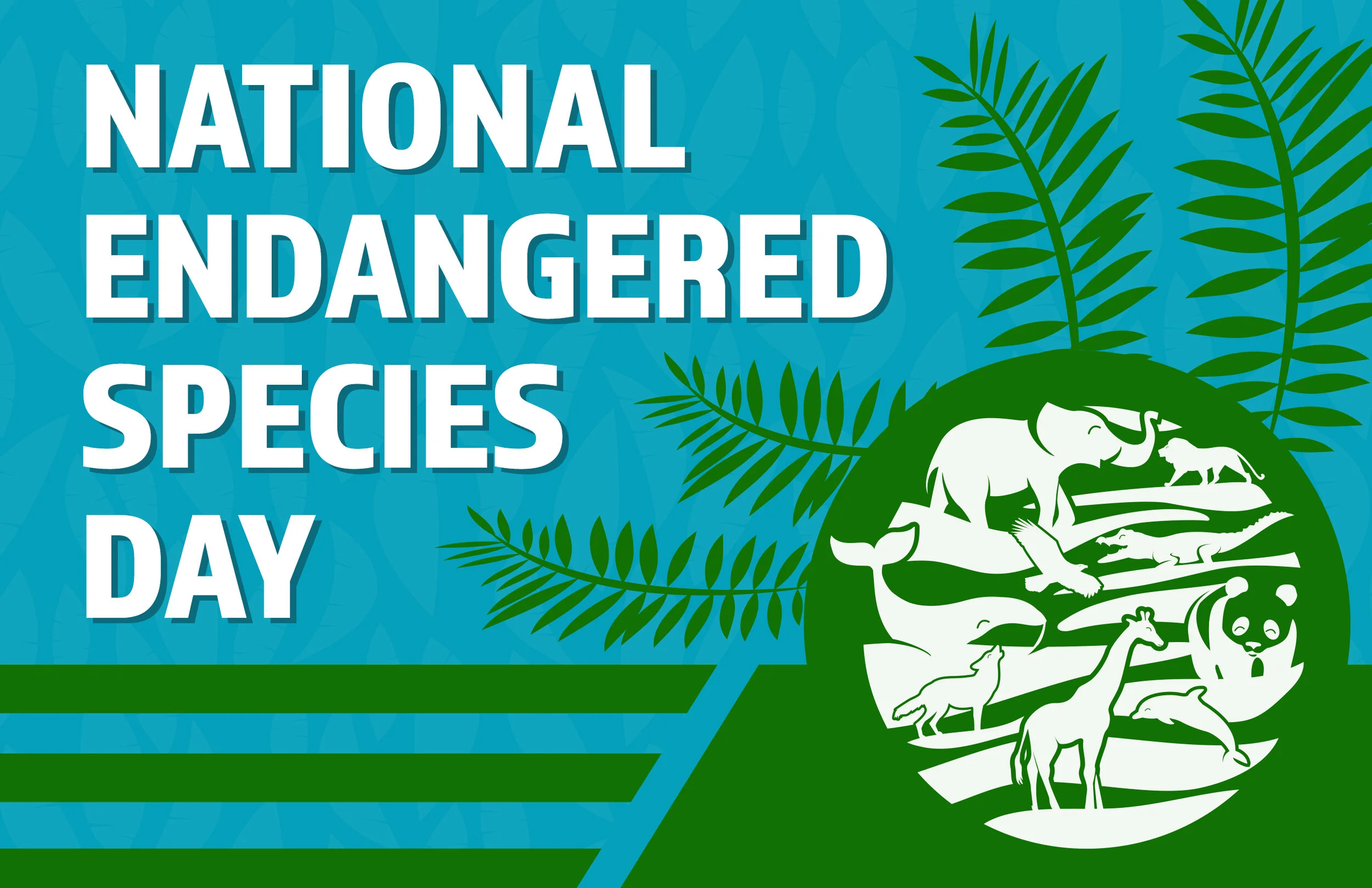 National Endangered Species Day 2024: Theme, Activities, Quiz – GEYE