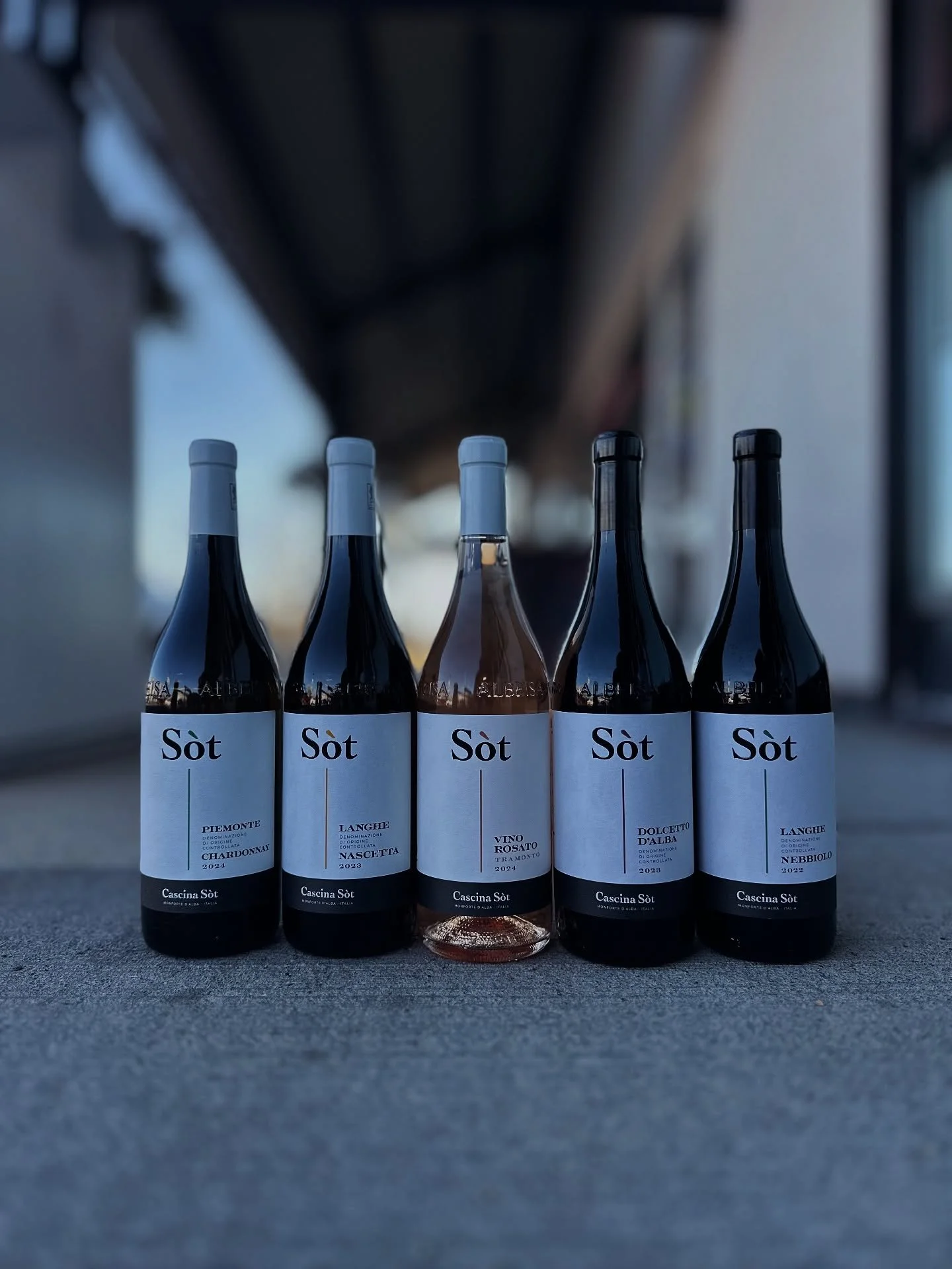The arrival of Cascina Sot arrived just in time for Thanksgiving! If you&rsquo;ve had the pleasure of trying these exclusive Piedmontese wines you know how exciting this is!!!

Cascina Sot was started in 1975 by Maria and Giuseppe and today their son