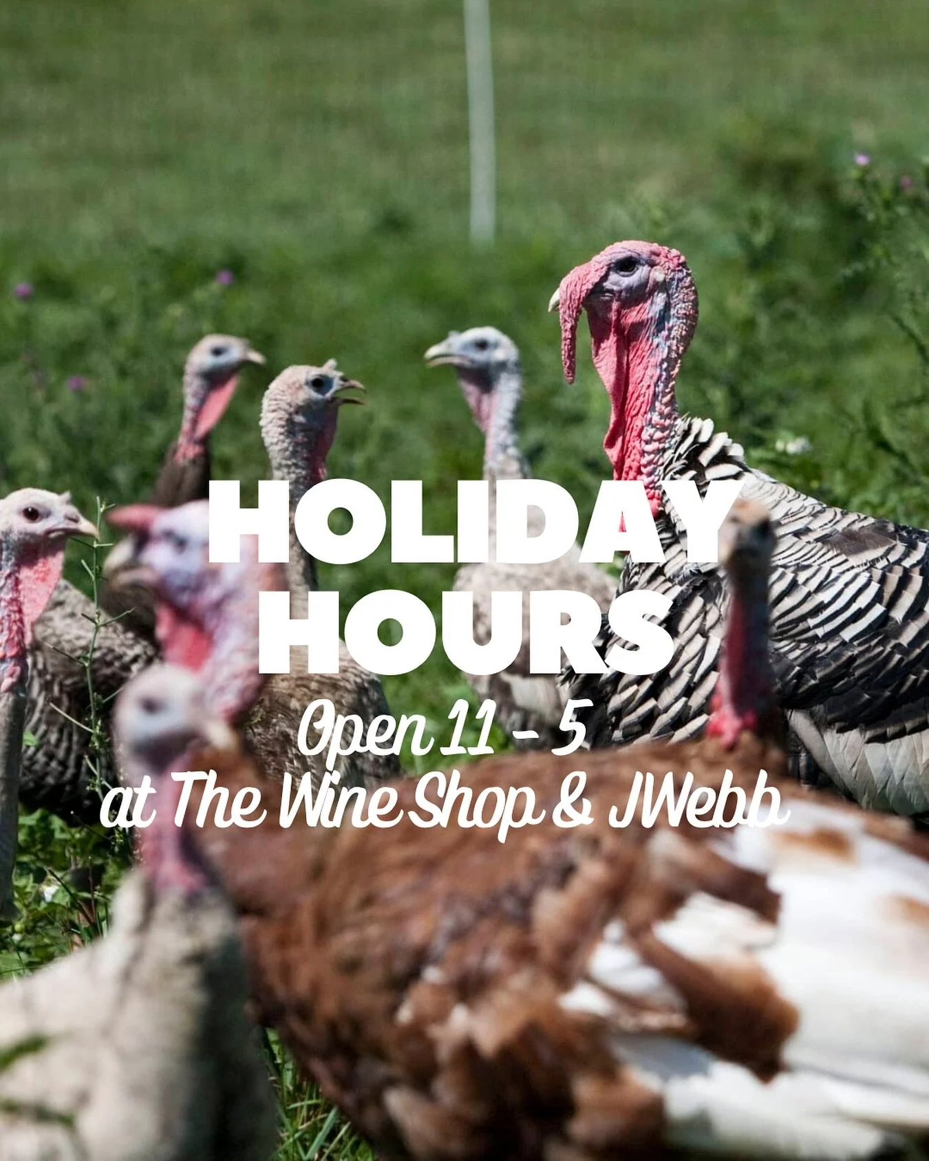 Happy Thanksgiving! We&rsquo;ll be open from 11-5 at @thewineshopyyc and @jwebbwine and are well stocked on anything and everything you need to pair with turkey day dinner.