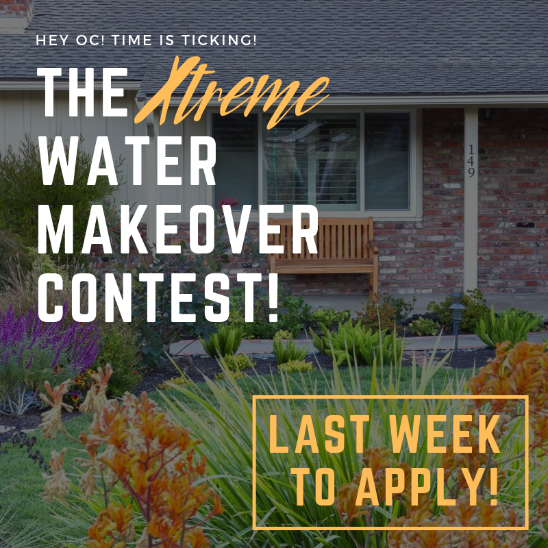 ready to win_ (3).png