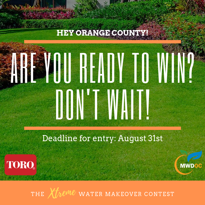 HEY ORANGE COUNTY! (1).png