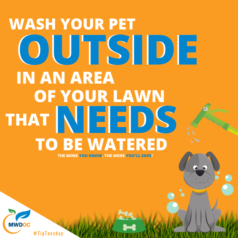 #TIPTUESDAY MWDOC.png