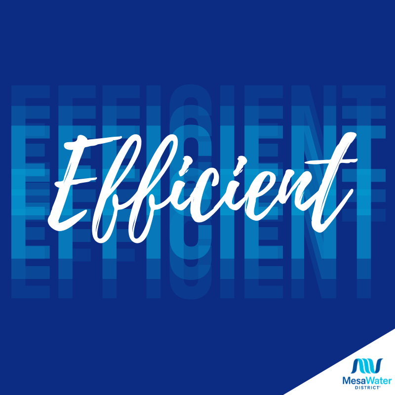 Efficient.png