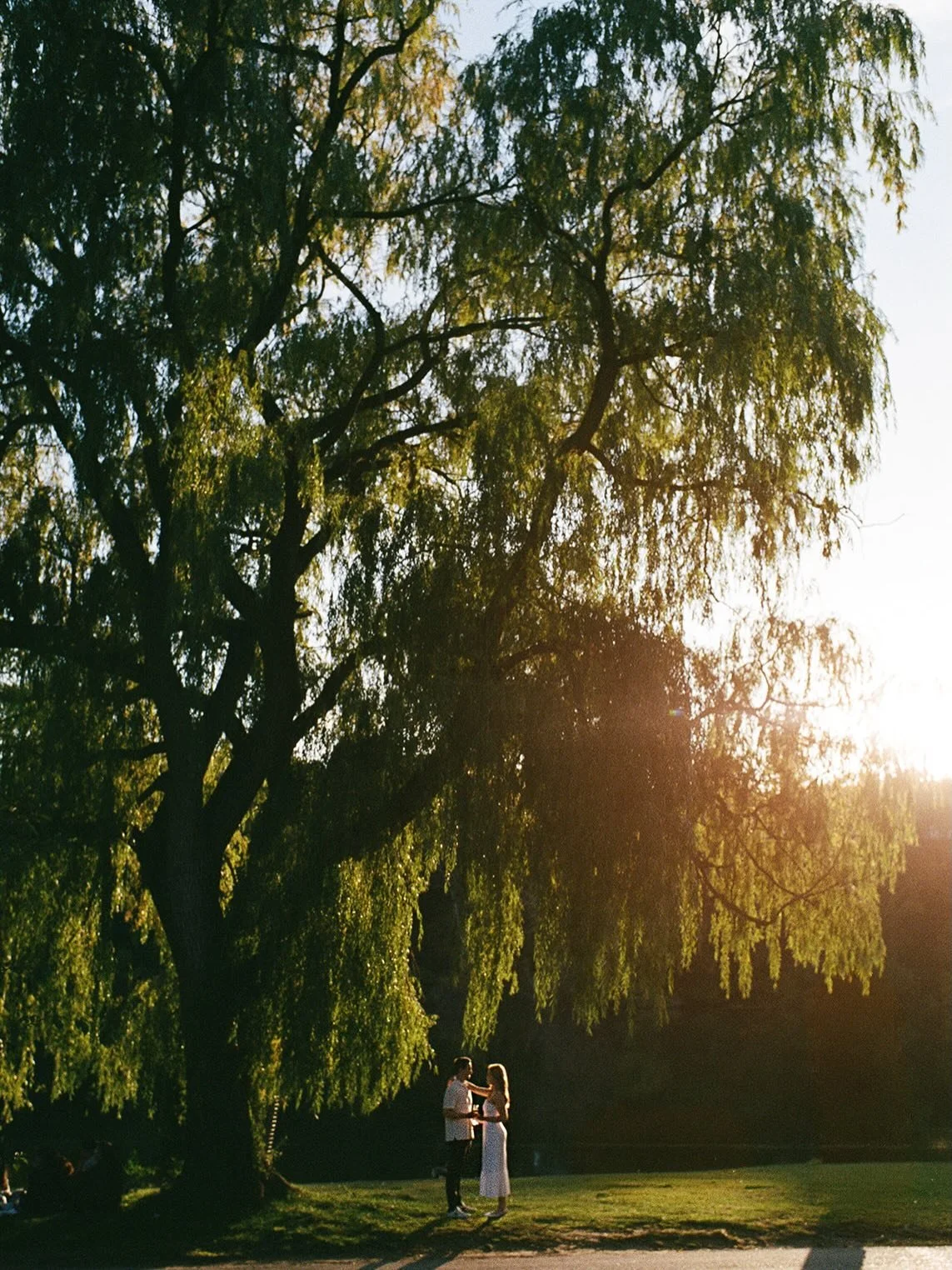 Last autumn with Grace + Adam in High Park. Tucked under the willow trees as the light dipped low and the park slowed down. One of those evenings that felt unhurried and magical. (I also laughed til I cried multiple times with these two) 

I photogra