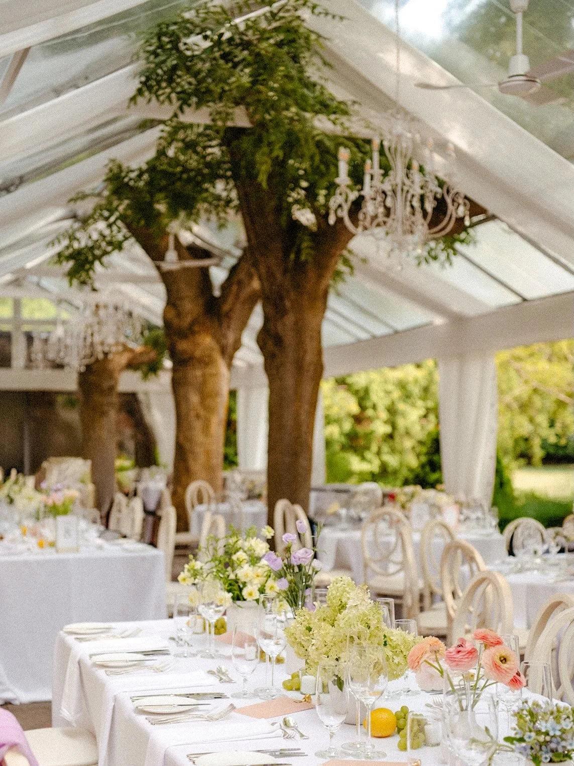 with summer on the horizon, i keep coming back to this dreamy italian-inspired afternoon at @graydonhallmanor 🍋

sun pouring through the trees, long tables filled with laughter, soft florals, and lemons tucked into every detail&hellip; it felt less 