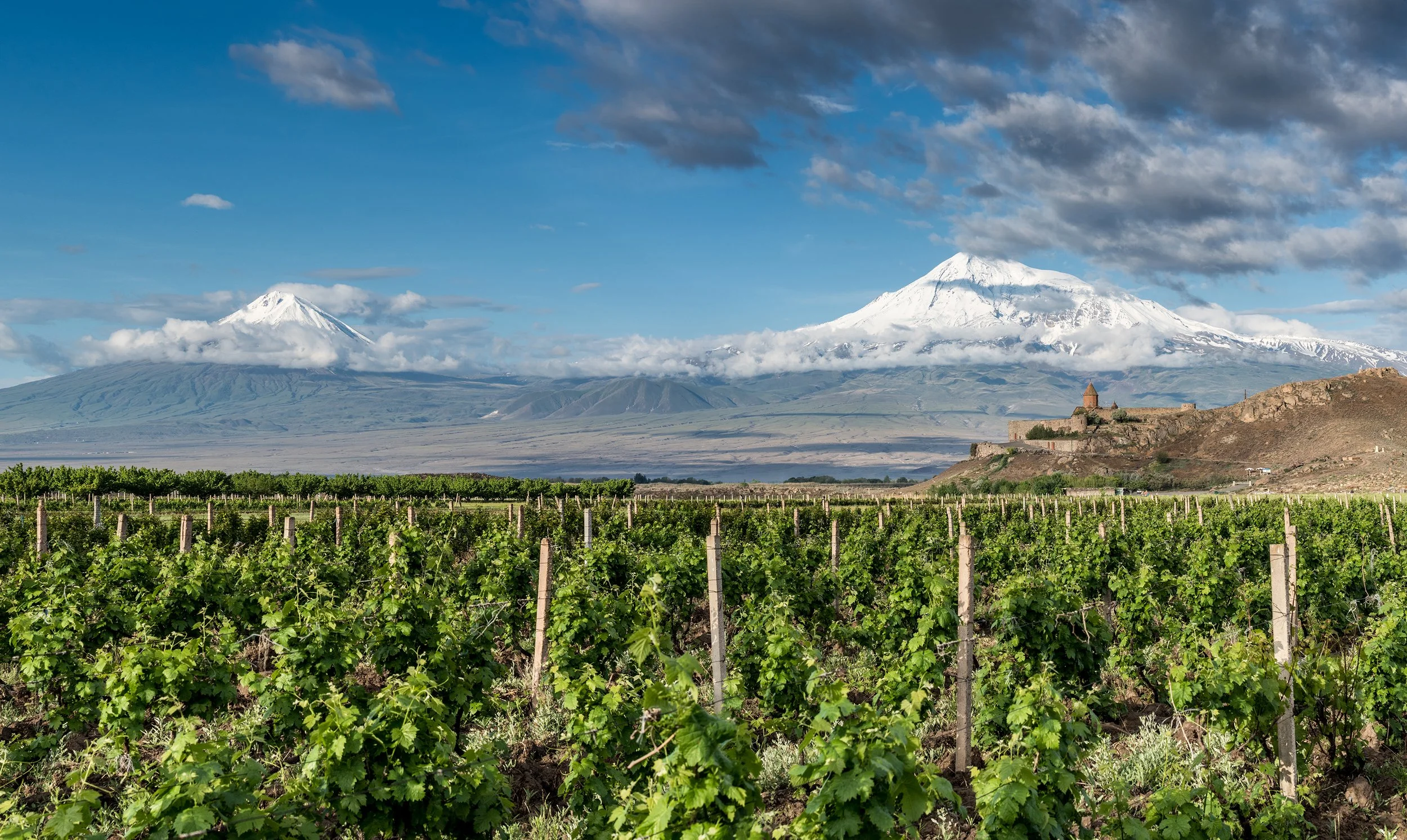 ZET_5062_Ararat small.jpg