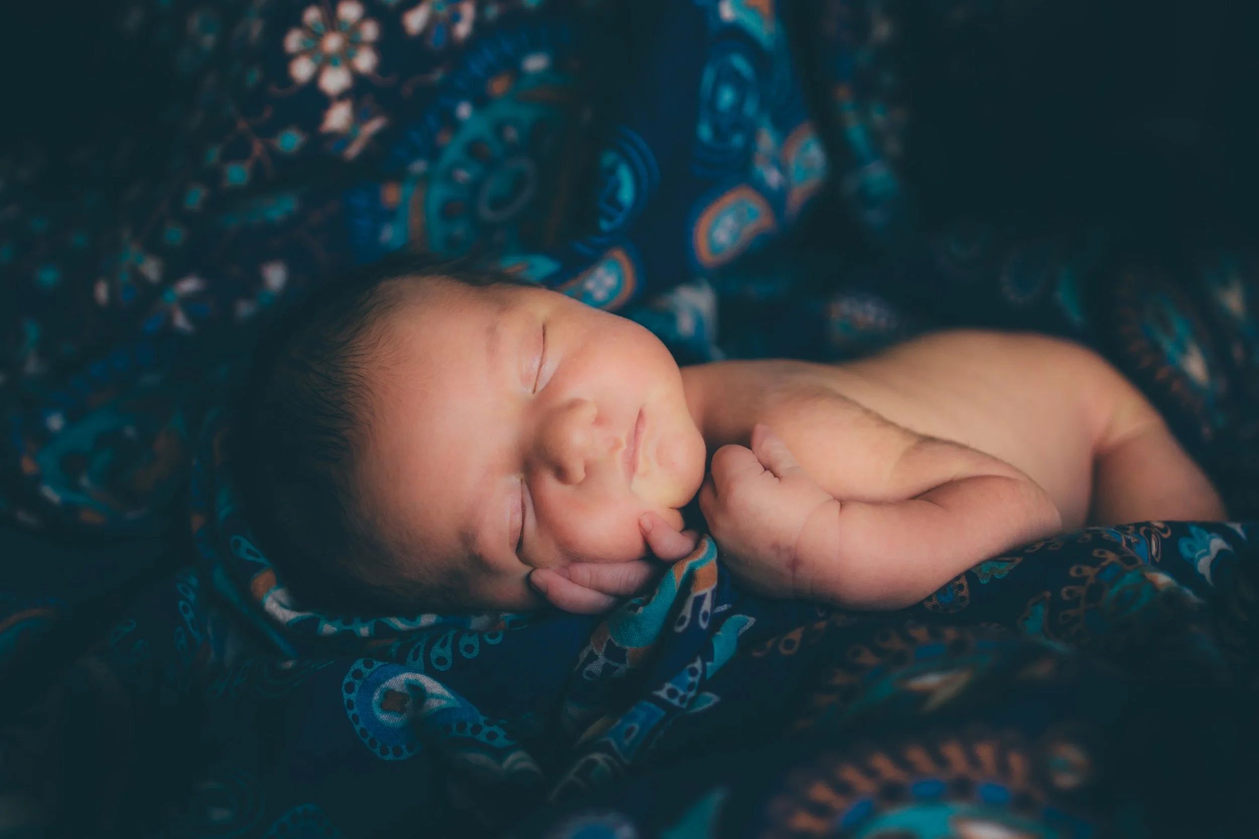 A Prequel Origin Story - The Story of Cypress' Birth 2016