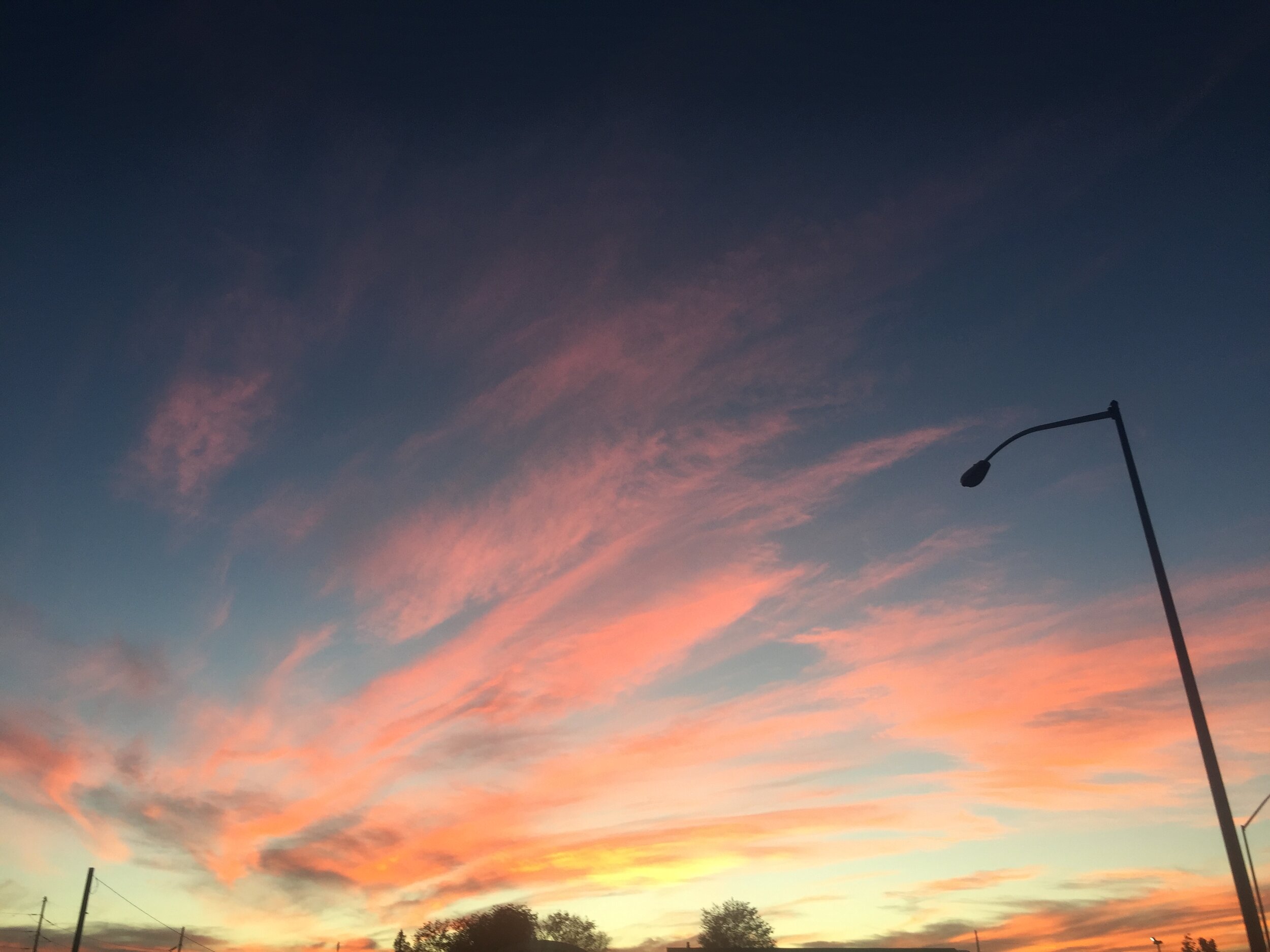 IMG_4003.jpeg