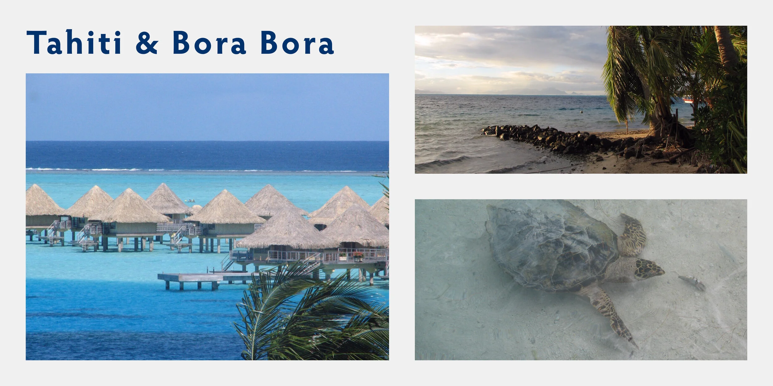 Montage Polynésie