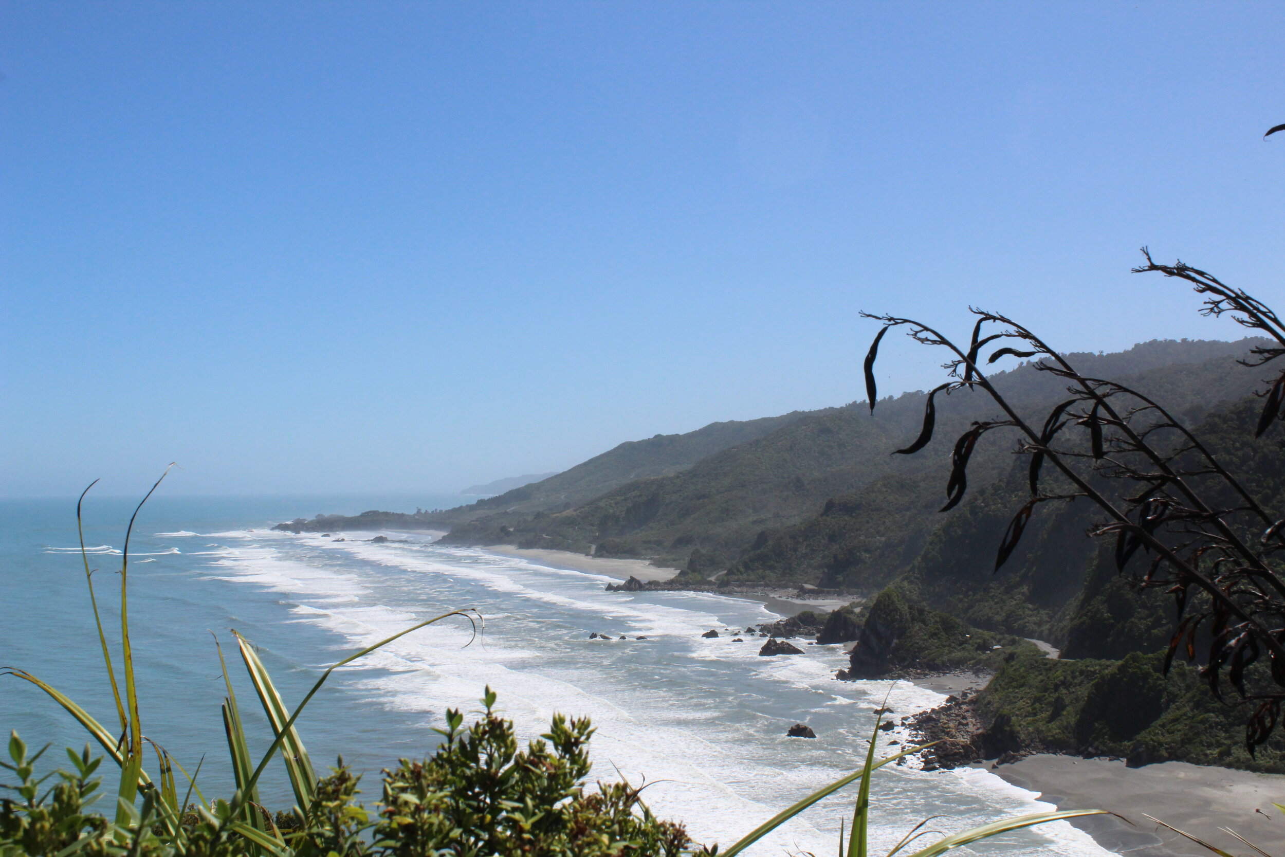 4DA59367-AC07-458C-A6D6-D86863A5DE37.jpeg