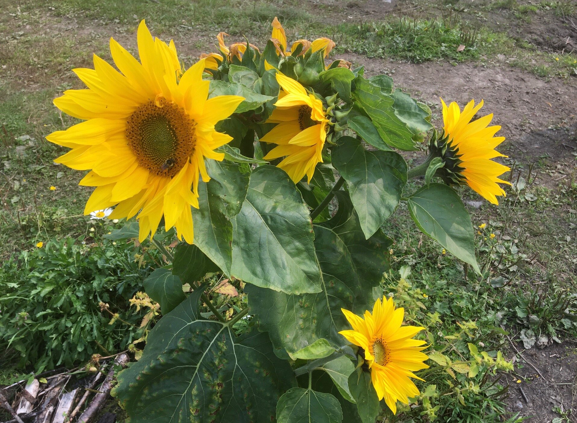 image9.jpeg