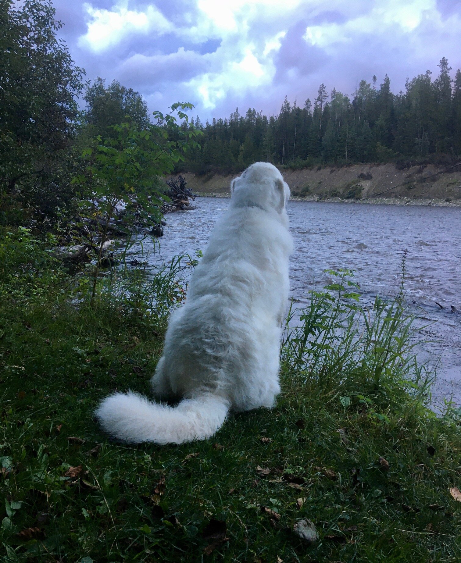 image13.jpeg