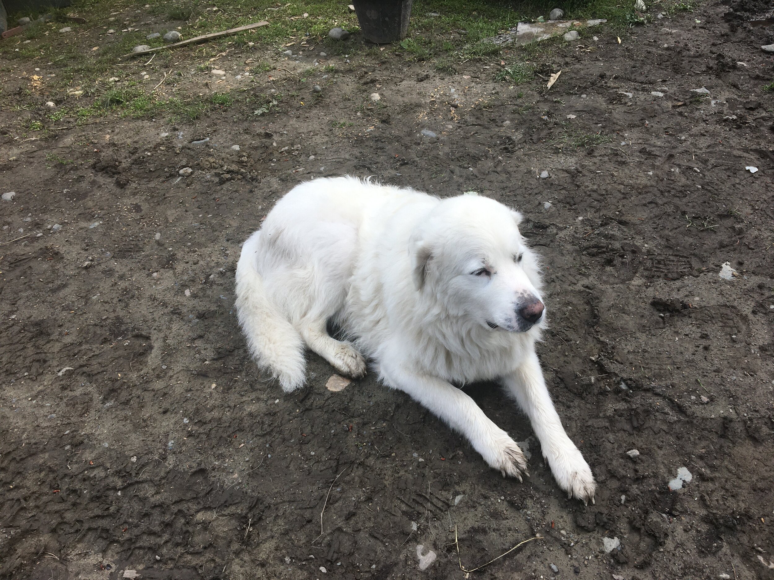 image12.jpeg