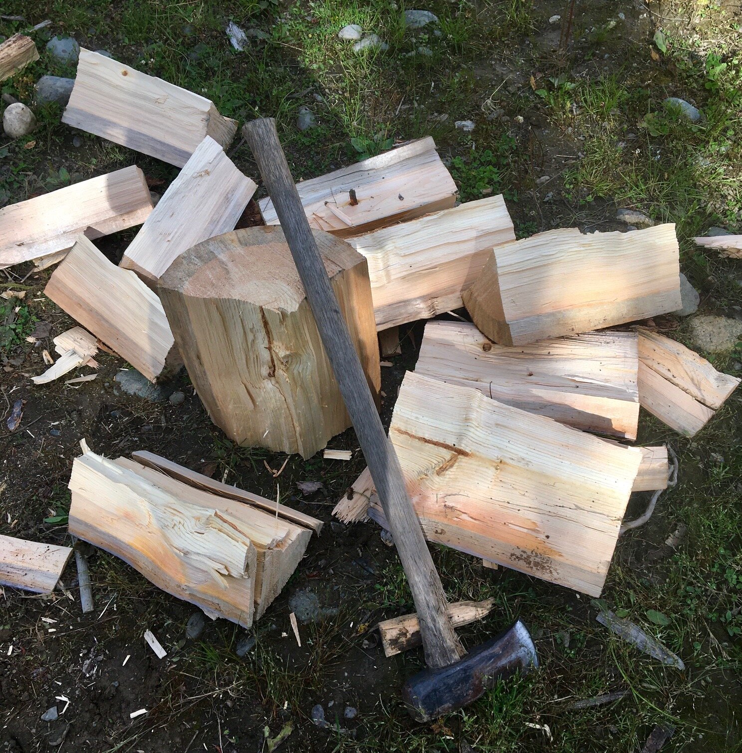 image5.jpeg
